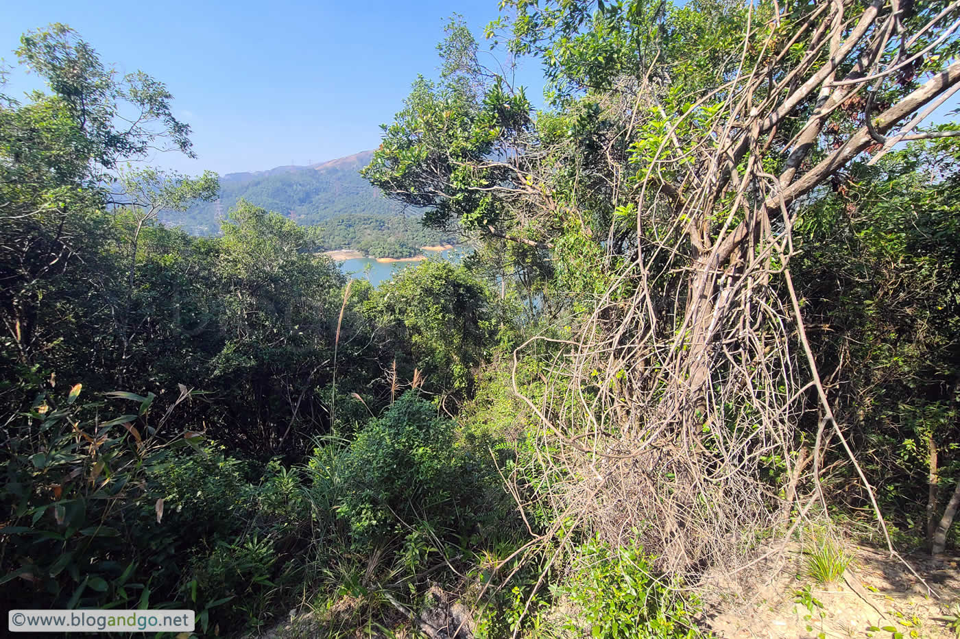 Shing Mun Redoubt - Searching for PB 401a